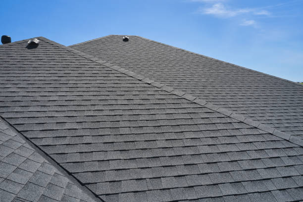 Best Gutter Installation and Repair  in Paradise Valley, AZ